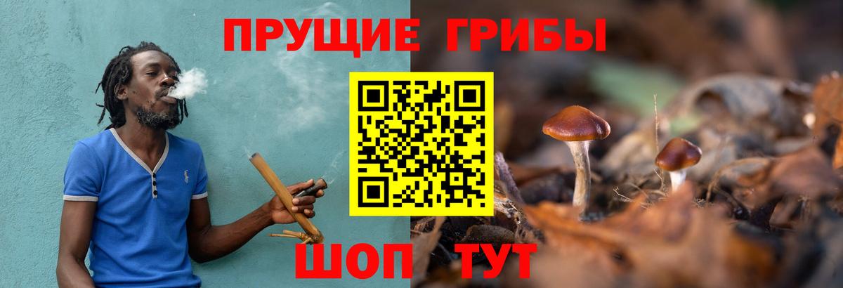 Псилоцибиновые грибы мухоморы  Вход с VPN  Псилоцибиновые грибы Magic Shrooms  Луховицы 